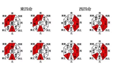 乾命(西四命)|西四命:西四命就是命理學，依三元九運把人的命卦分。